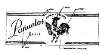 PAÑUELOS GALLUS
