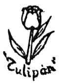 TULIPAN