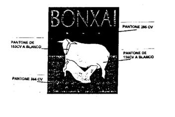BONXAI