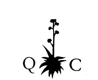 Q C