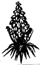 M0873053