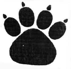 M2875998