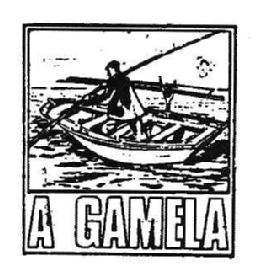 A GAMELA