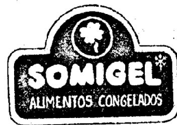 SOMIGEL ALIMENTOS CONGELADOS