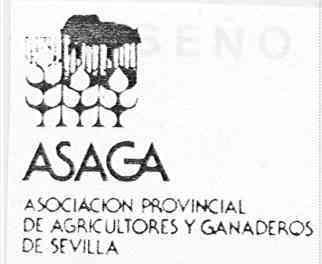 ASAGA