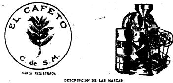 EL CAFETO C DE SM