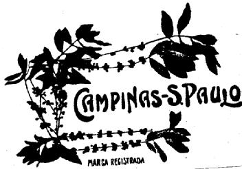 CAMPINAS-S.PAULO