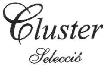 CLUSTER SELECCIO