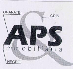 APS INMOBILIARIA