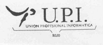 U.P.I. UNION PROFESIONAL INFORMATICA