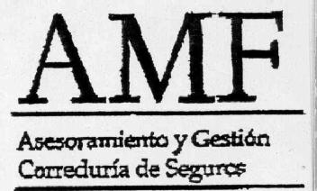 AMF ASESORAMIENTO Y GESTION DE CORREDURIA DE SEGUROS