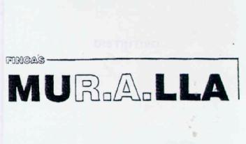 FINCAS MUR.A.LLA