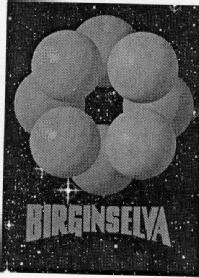 BIRGINSELVA