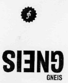 GNEIS