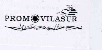 PROMOVILASUR