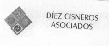 DIEZ CISNEROS ASOCIADOS