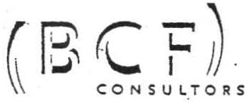 (BCF) CONSULTORS