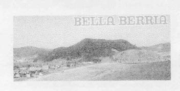 BELLA BERRIA