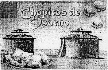 CHOPITOS DE OSORNO