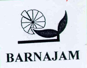 BARNAJAM