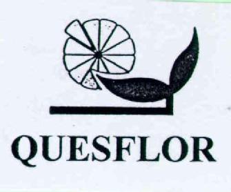 QUESFLOR
