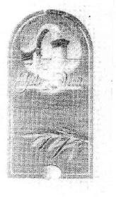 GILSO ACEITE