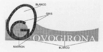 GOVOGIRONA
