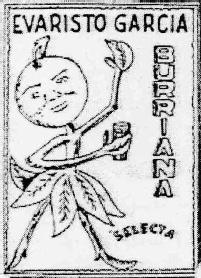 EVARISTO GARCIA BURRIANA SELECTA