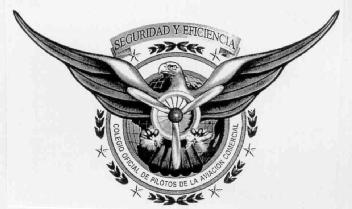 SEGURIDAD Y EFICIENCIA COLEGIO OFICIAL DE PILOTOS DE LA AVIACION COMERCIAL