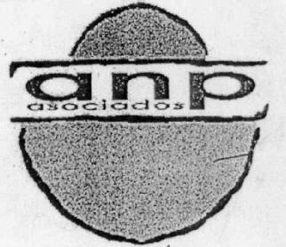 ANP ASOCIADOS
