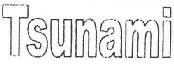 TSUNAMI