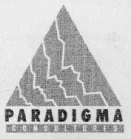 PARADIGMA CONSULTORES