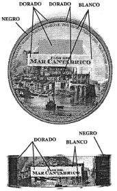 FLOR DEL MAR CANTABRICO