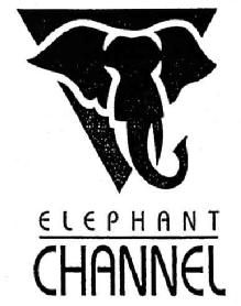 ELEPHANT CHANNEL