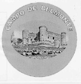 CAMPO DE BELMONTE