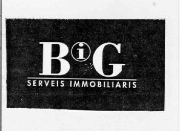 BIG SERVEIS IMMOBILIARIS