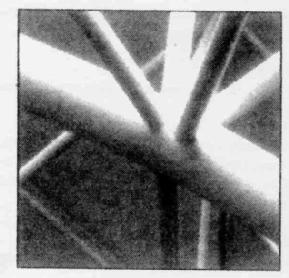 M2302156(X)