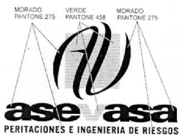 AV ASEVASA PERITACIONES E INGENIERIA DE RIESGOS