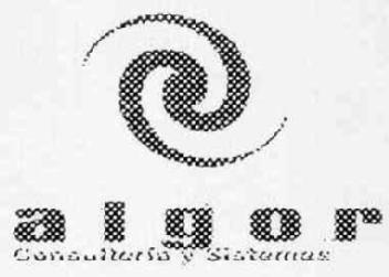 ALGOR CONSULTORIA Y SISTEMAS