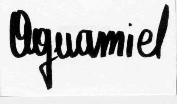 AGUAMIEL
