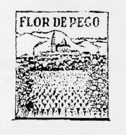 FLOR DE PEGO