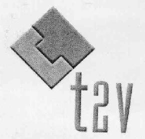 T2V