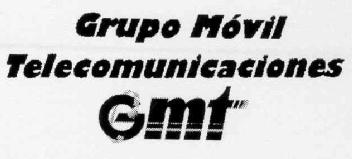 GRUPO MOVIL TELECOMUNICACIONES GMT