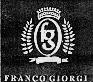 FG FRANCO GIORGI