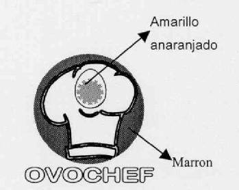 OVOCHEF