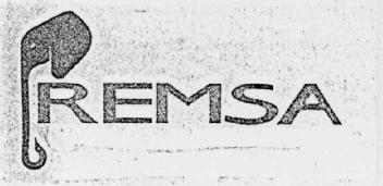 REMSA