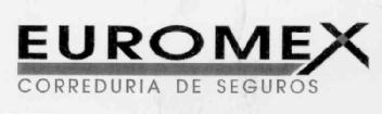 EUROMEX CORREDURIA DE SEGUROS