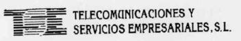 TSE TELECOMUNICACIONES Y SERVICIOS EMPRESARIALES, S.L