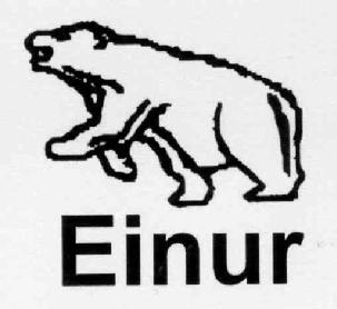 EINUR