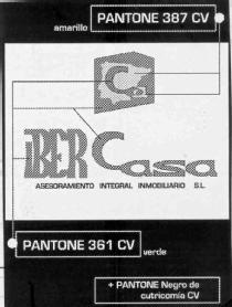 CA IBERCASA ASESORAMIENTO INTEGRAL INMOBILIARIO S.L